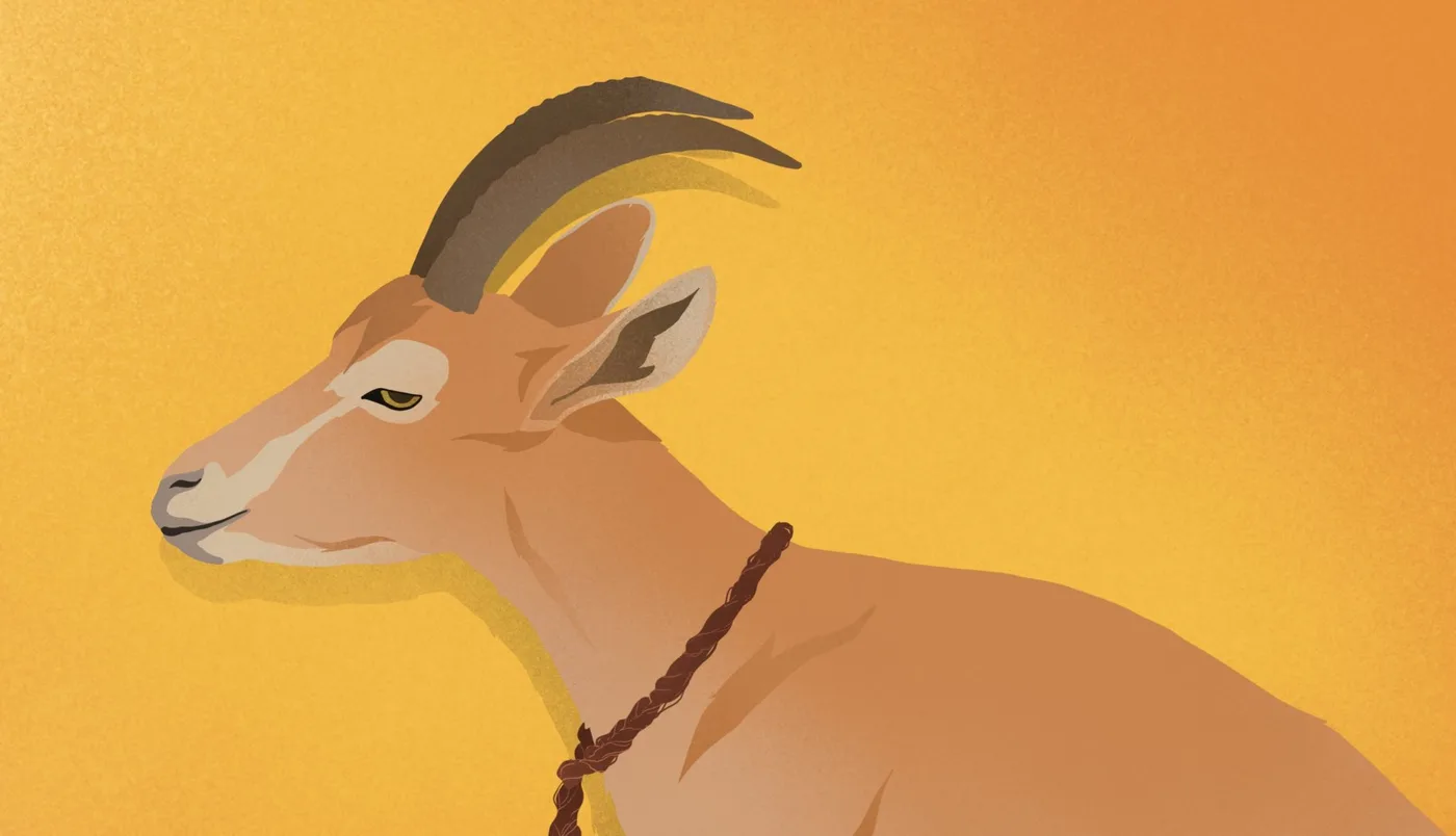 Tie Your Gazelle