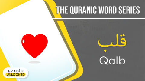 Quranic Word Of The Day: Ayah - Arabic Unlocked